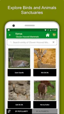 Kenya Travel & Explore, Offlin android App screenshot 11