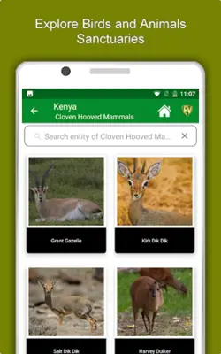 Kenya Travel & Explore, Offlin android App screenshot 3